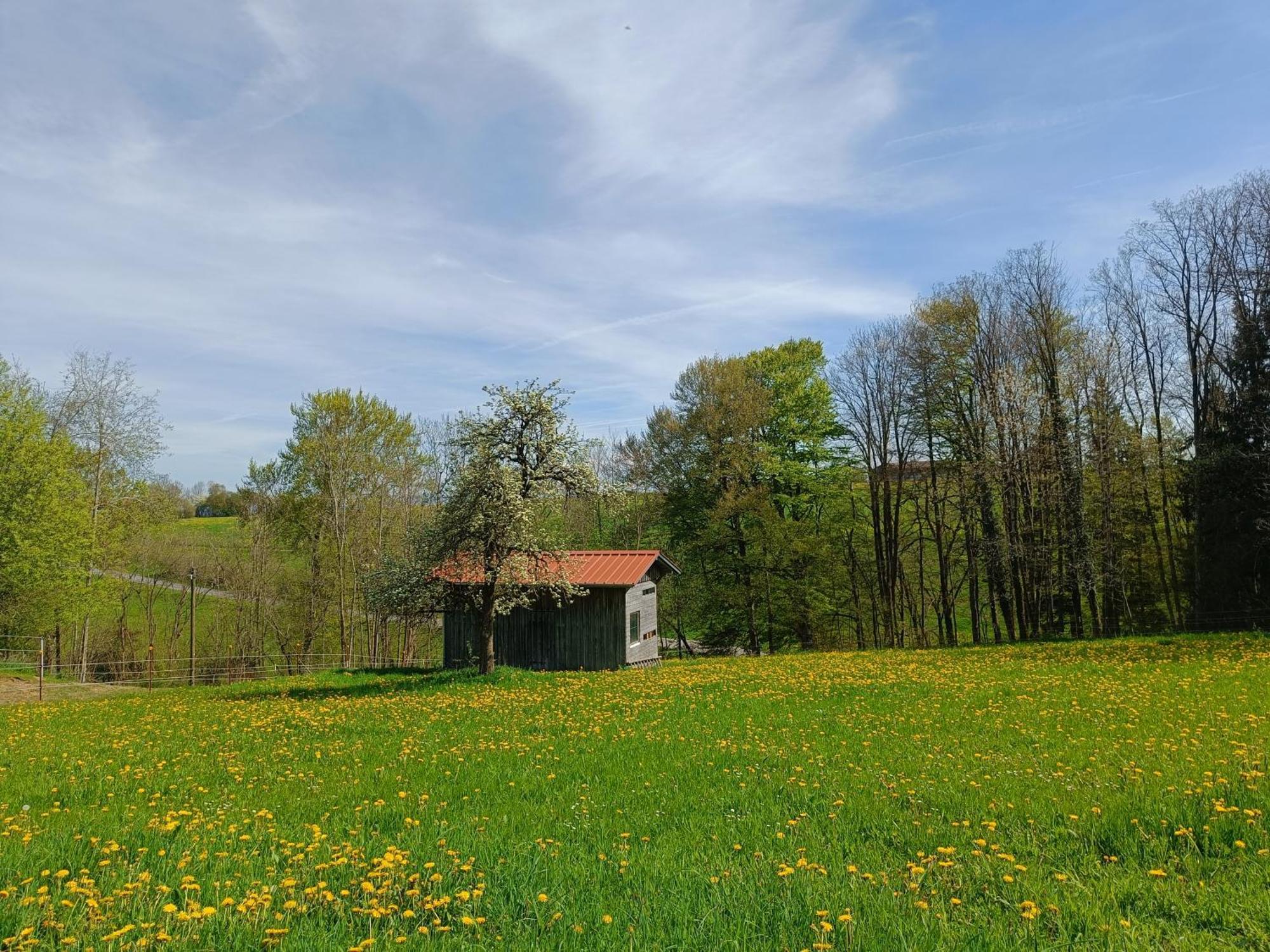 Berghof-Glueck Apartment เคาฟ์บอยเริน ภายนอก รูปภาพ